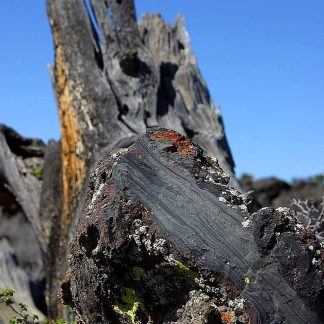 Mountain Rock (Per Kg) — Sacred Aquatics
