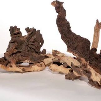 Sandblasted Mopani Driftwood — Sacred Aquatics